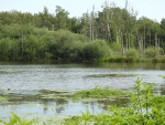 Zunasche heide